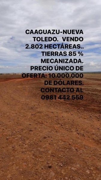Campo en Venta en Nueva Toledo Caaguazú, Caaguazú
