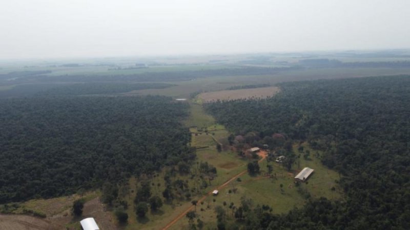 Campo en Venta en  La Colmena, Paraguarí