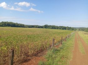 EXCLUSIVA FRACCIÓN DE 17,8 HECTÁREAS sobre CALLE A