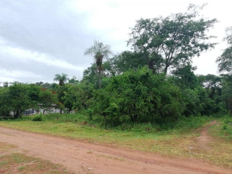 Foto Terreno en Venta en PINDOLO, Areguá, Central - G 270.000.000 - TEV1501 - BienesOnLine