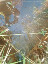 Terreno en Venta en  Yaguarón, Paraguarí