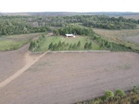 Campo en Venta en  Alto Verá, Itapúa