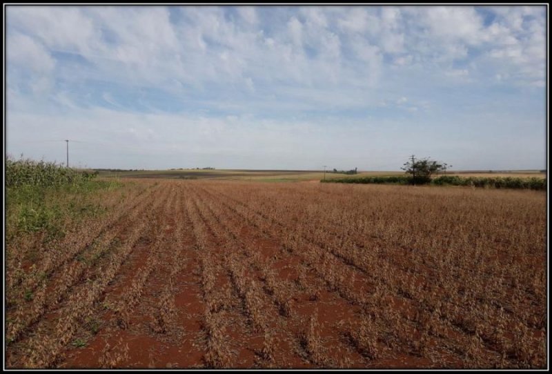 Terreno en Venta en Centro Iruña, Alto Paraná