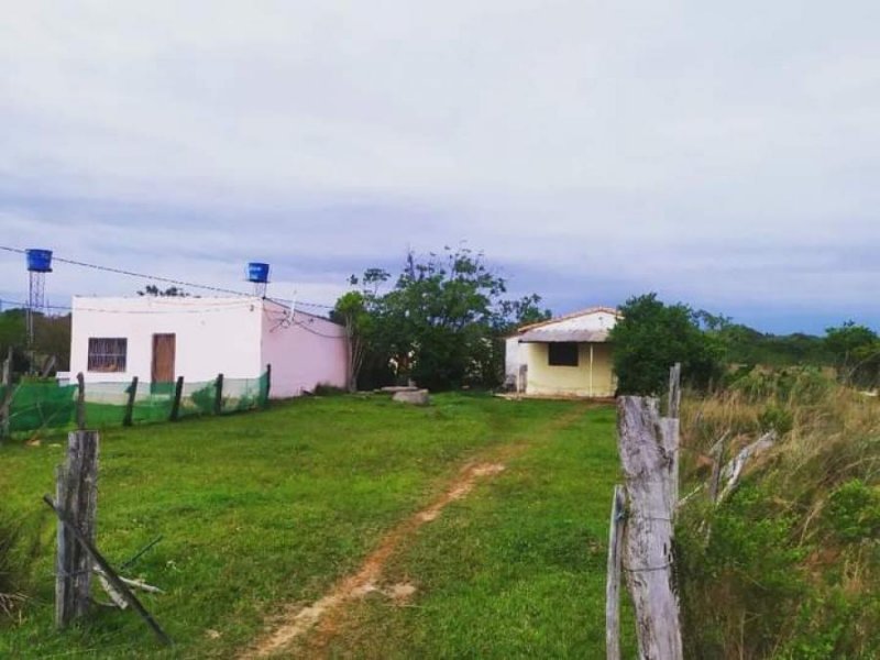 Casa en Venta en Santa lucia Villarrica, Guairá