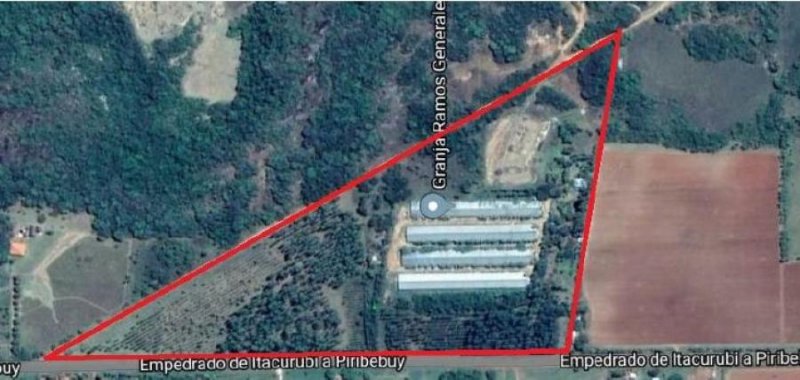 Campo en Venta en  Eusebio Ayala, Cordillera