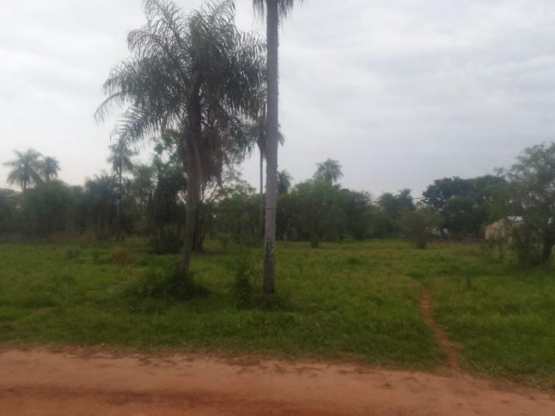Terreno en Venta en Barrio Industrial Caaguazú, Caaguazú
